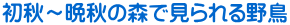 H`ӏH̐XŌ쒹