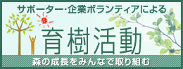 サポーター・企業ボランティアによる育樹活動