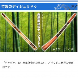 ディジュリドゥ