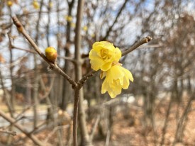 IMG_6173
