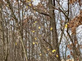 IMG_6174